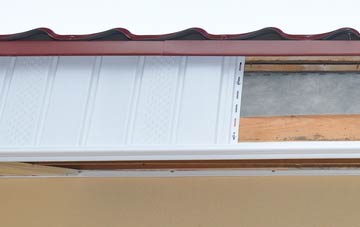 Lower Lode fascia repair costs