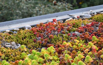 the cost of Lower Lode green roof installation