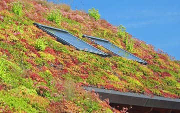 Lower Lode living roof systems