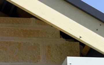 soffit repair Lower Lode